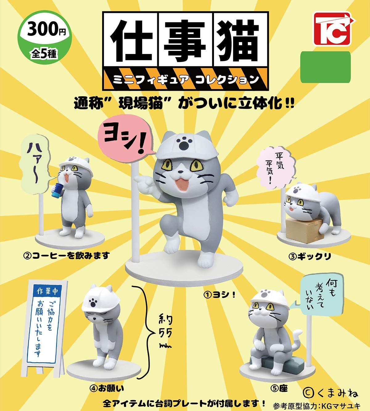 猫 画像 現場