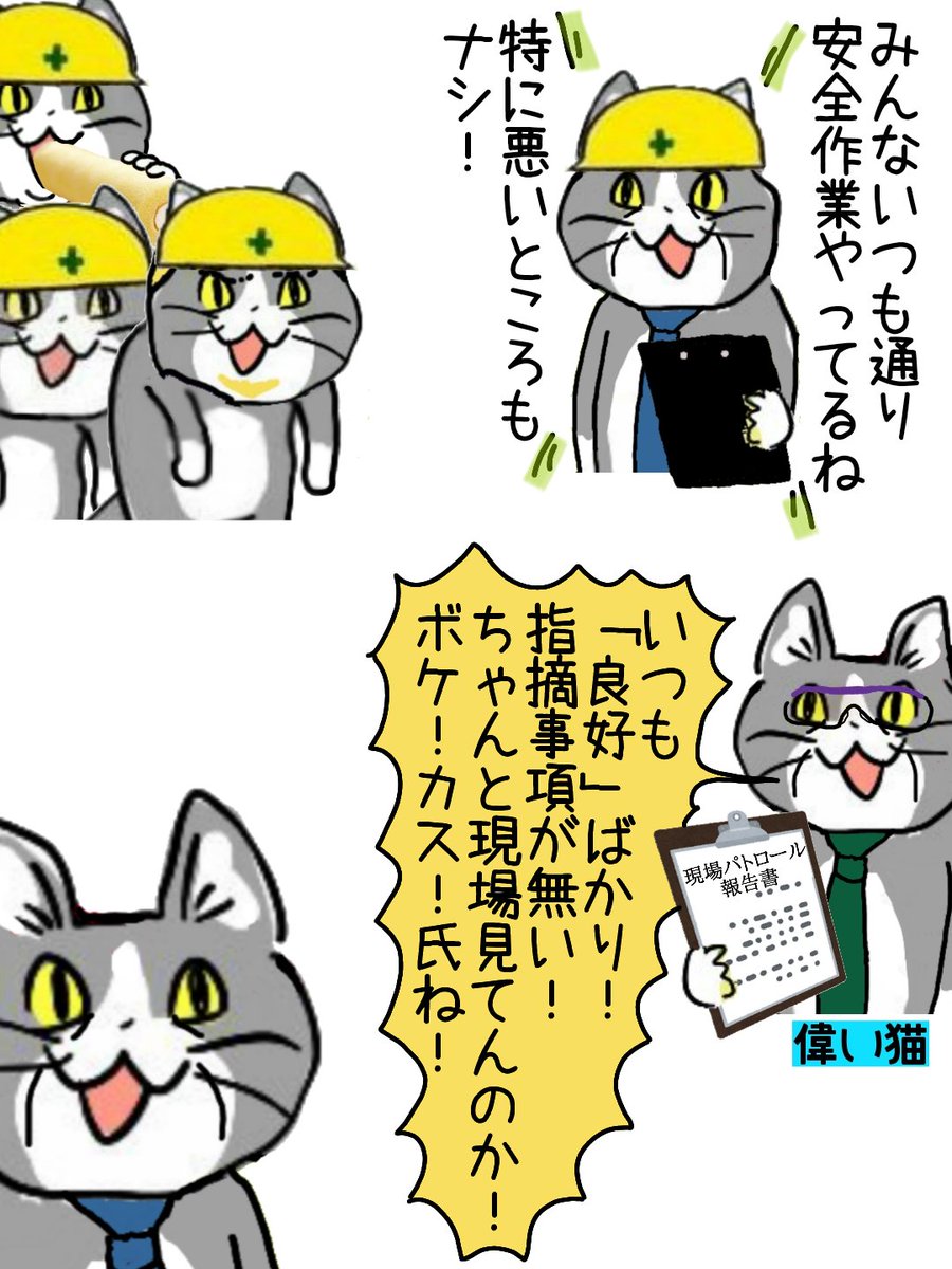 猫 画像 現場