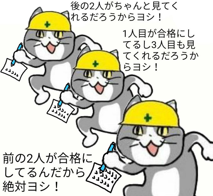 猫 画像 現場