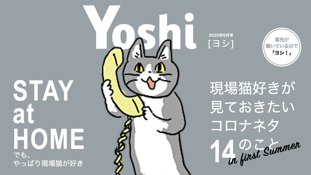 猫 画像 現場